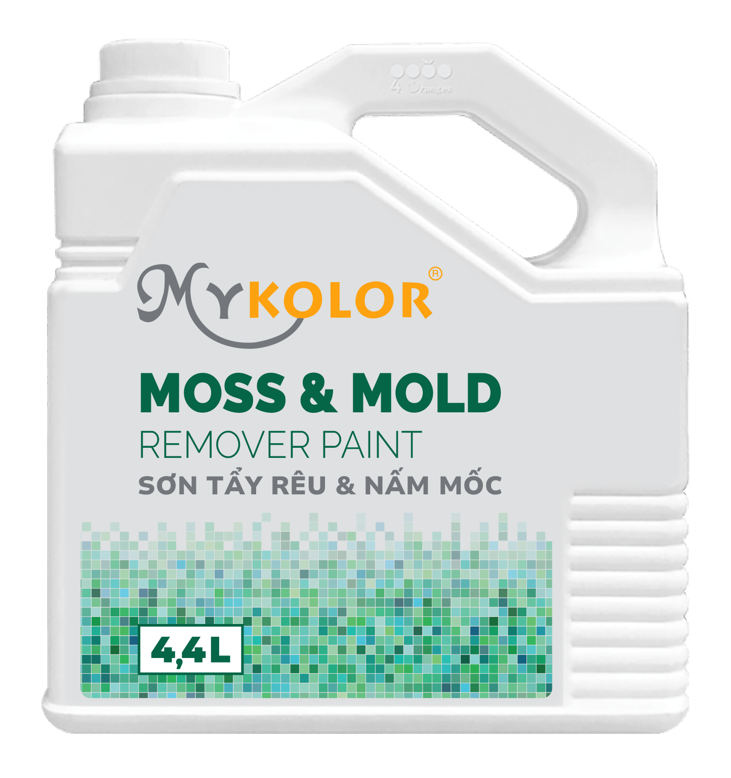 MYKOLOR  MOSS & MOLD REMOVER PAINT